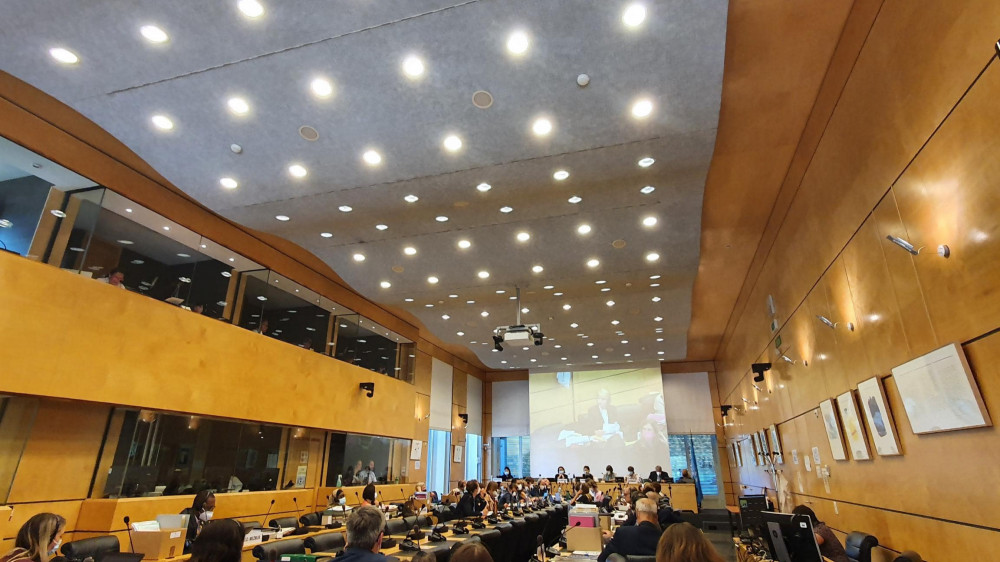 Versammlung des UN-Kinderrechteausschuss in Genf 2022